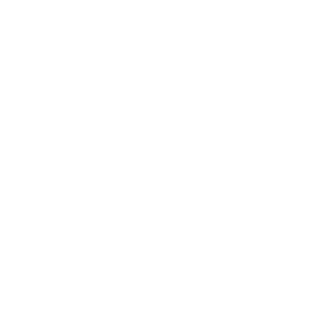 Twowoodenhorses